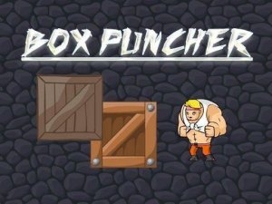 Box Puncher Reflex Arcade