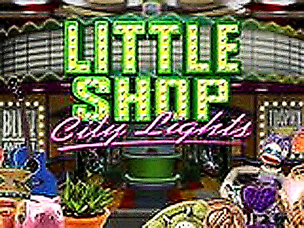 Little Shop City Lights: Hidden Objects Puzzle