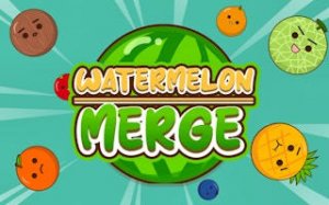 Orchard Stack Puzzle