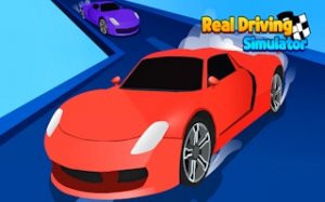 Authentic Driving Simulator