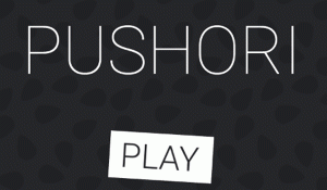 Pushori Puzzle Game