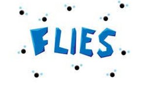 Flies Multi-Task Challenge Online Game