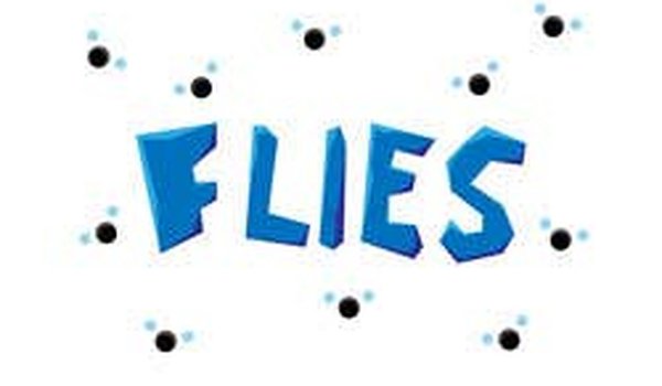 Flies Multi-Task Challenge Online Game